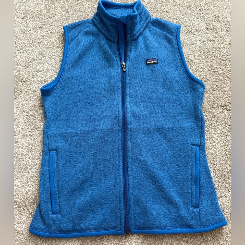Patagonia Women's Blue Fleece Vest